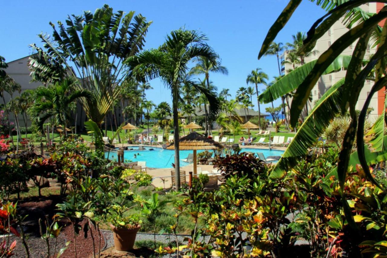 Kaanapali Shores 647 Villa Eksteriør billede